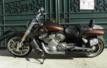 V-ROD Muscle 2013