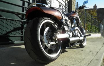 V-ROD Muscle 2013