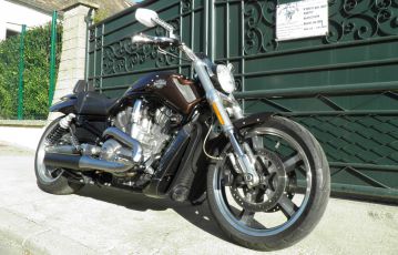 V-ROD Muscle 2013